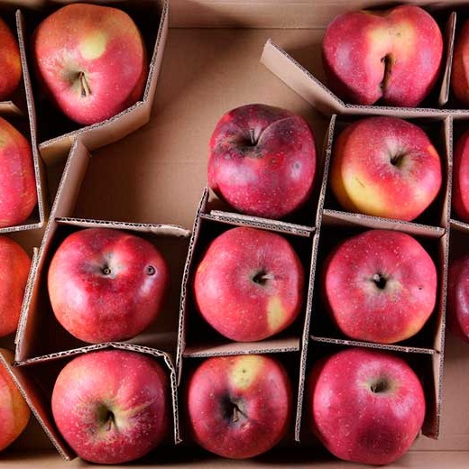 Cajas de frutas